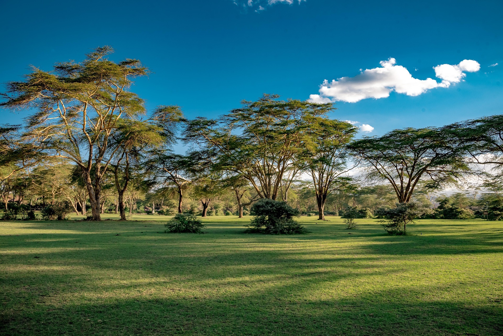 3 Days Naivasha Getaway – Lake Naivasha and Hell’s Gate Itinerary by Glance Tours Kenya