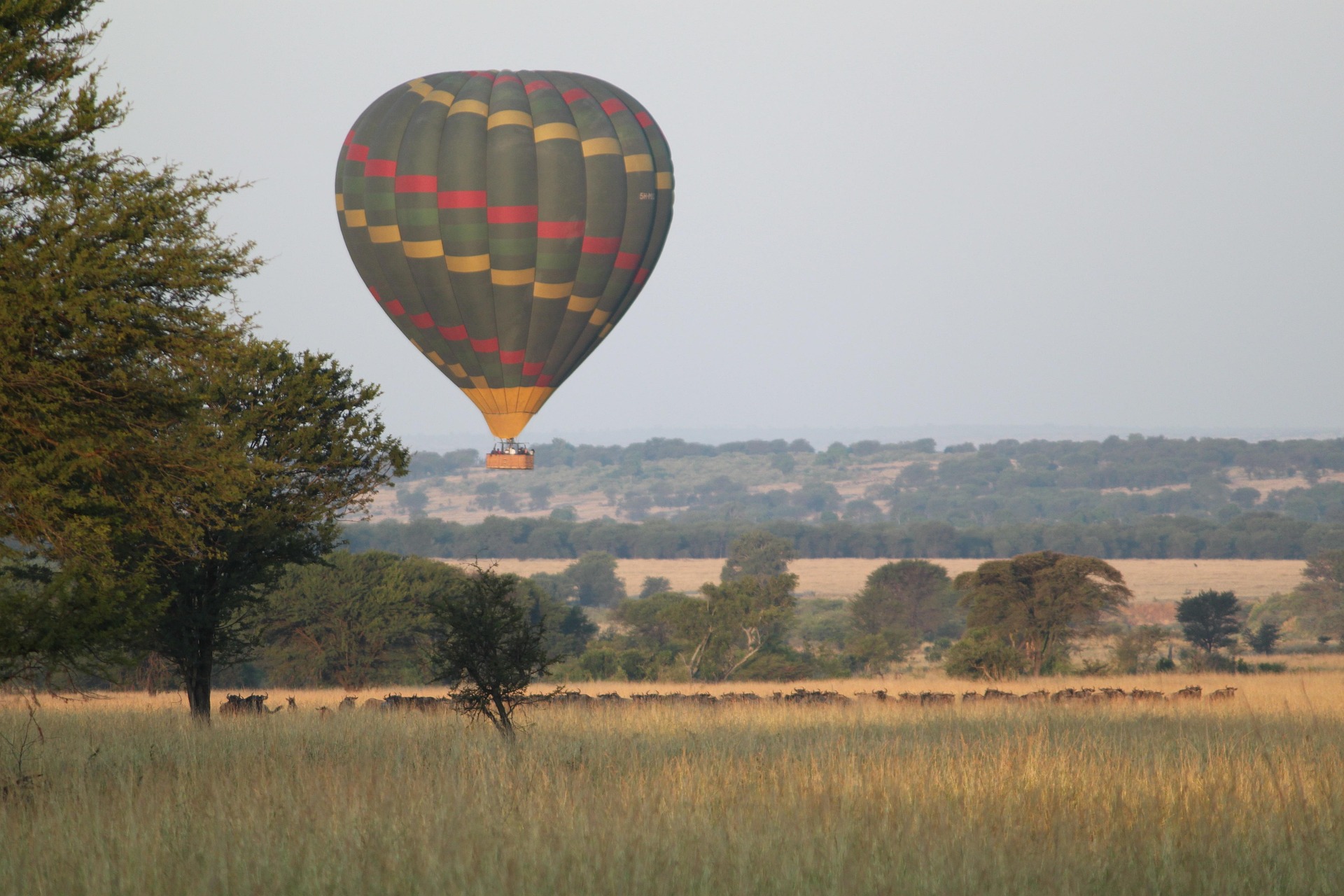 Masai Mara Hot Air Balloon safaris